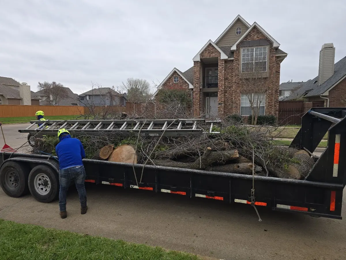 Expert Tree Pest Control with proper safety equipment in De Tour Village